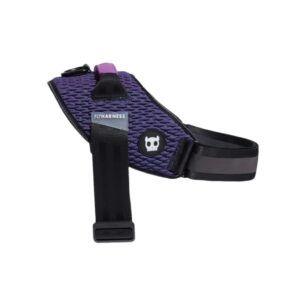 Wicked | Flyharness