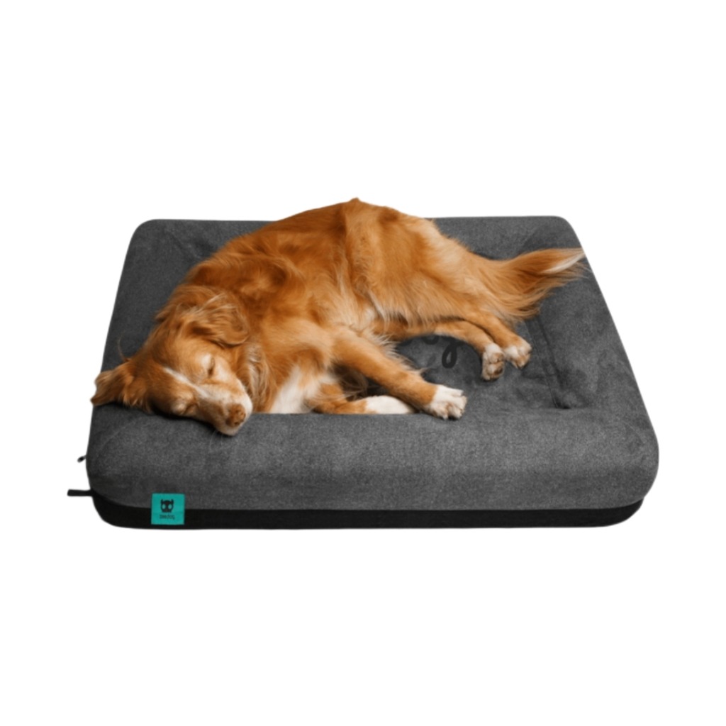 Zee.Bed 2.0 Skull - Image 4