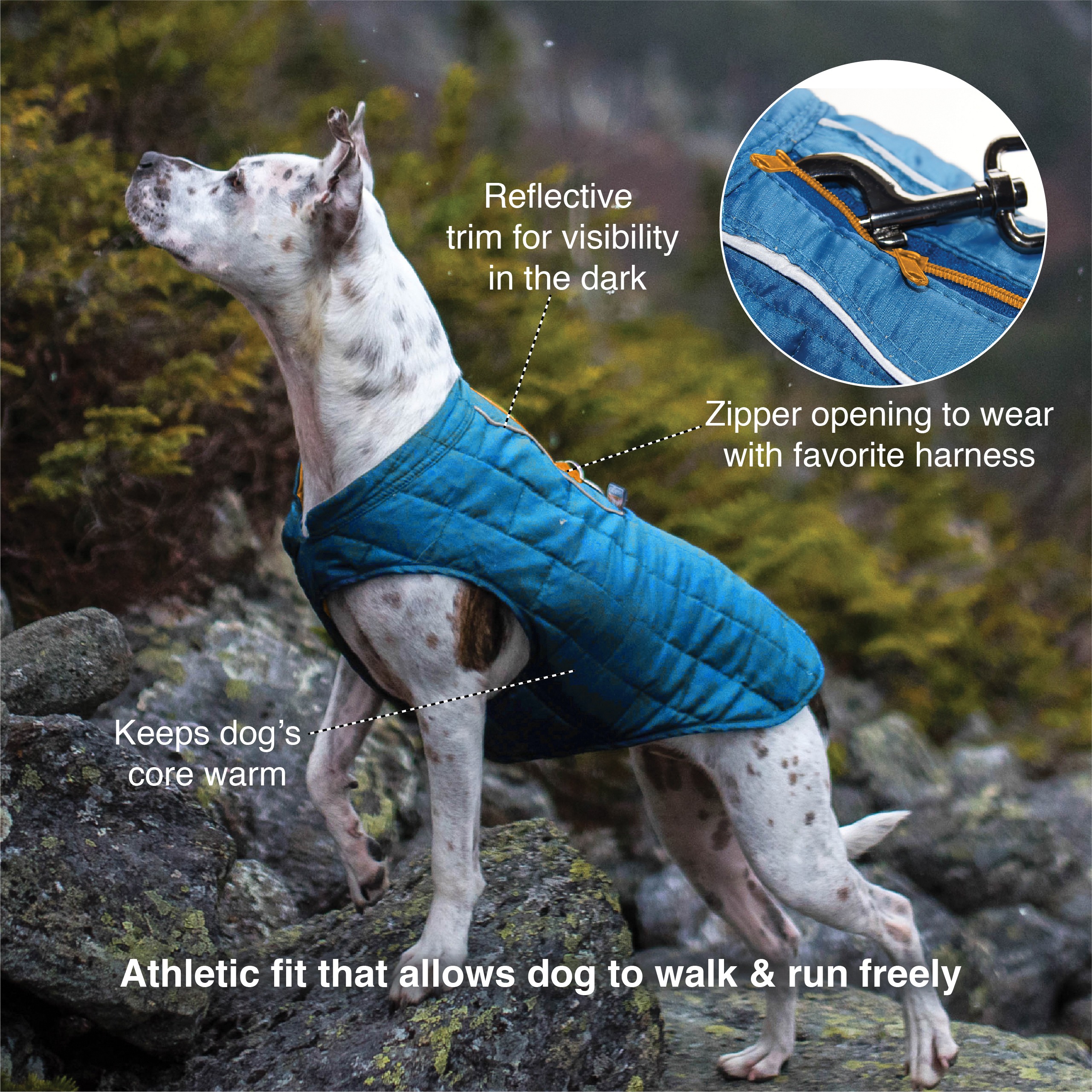 Loft Dog Jacket - Image 2