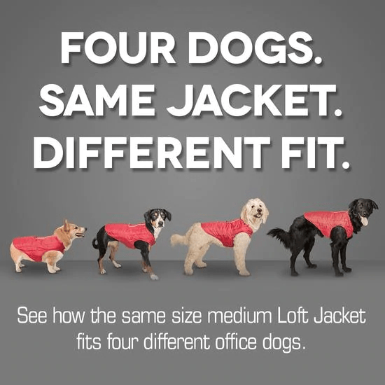 Loft Dog Jacket - Image 7