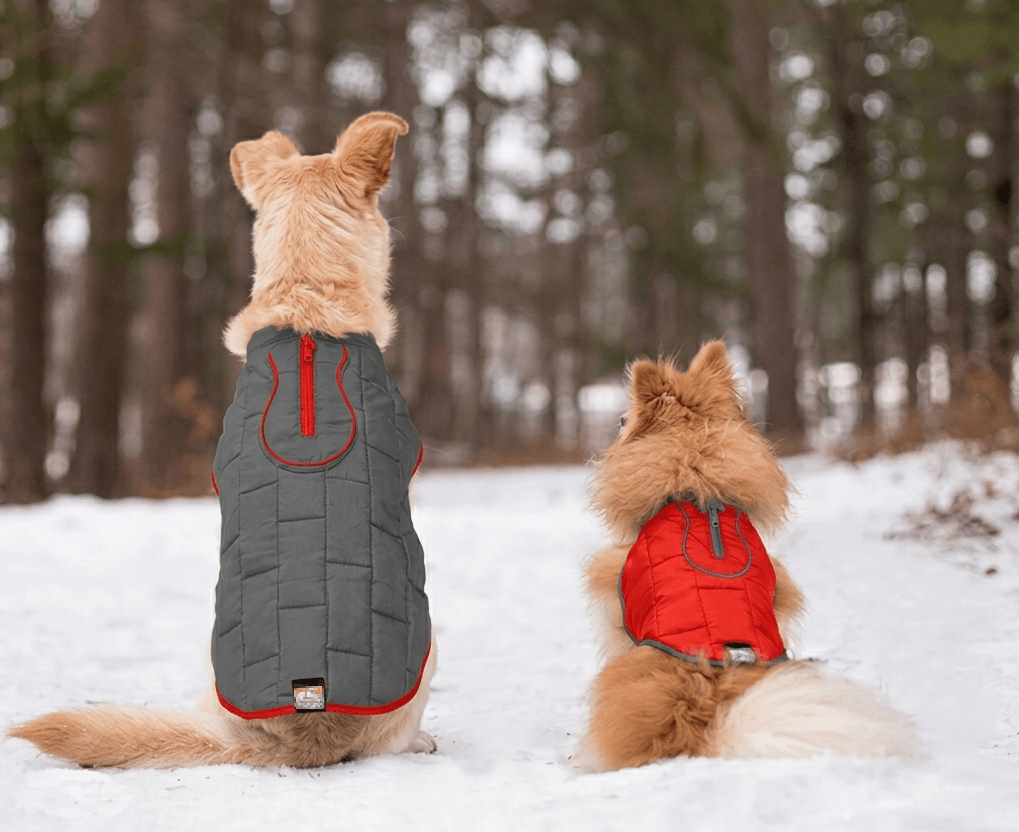 Loft Dog Jacket - Image 5