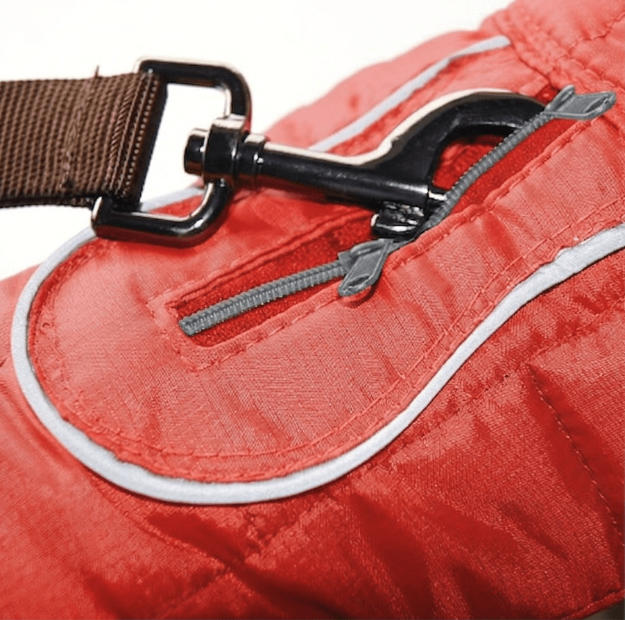 Loft Dog Jacket - Image 6