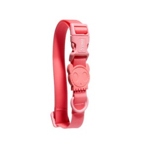 Neopro Bubblegum | Collar - Small