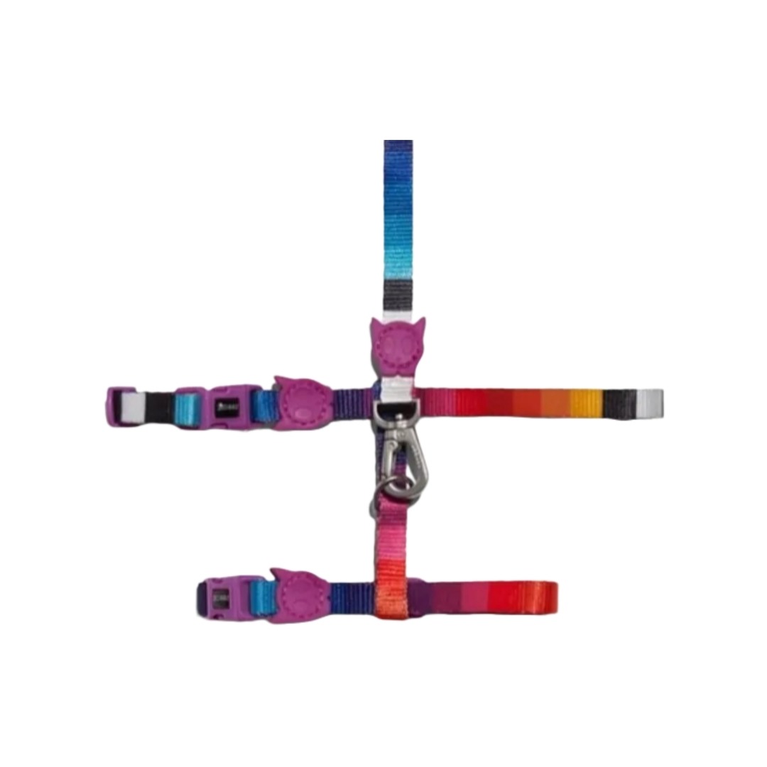 Prisma | Set Arnés + Correa