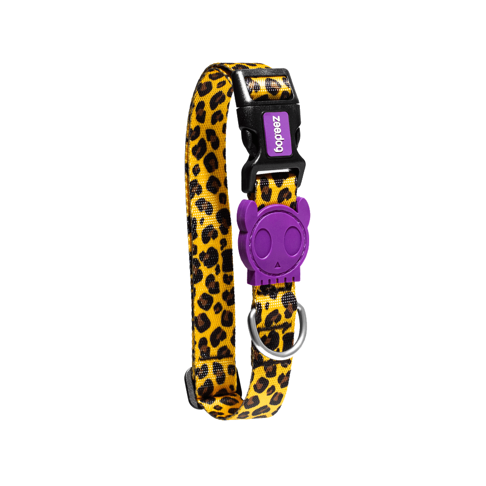 Honey | Collar - Image 2