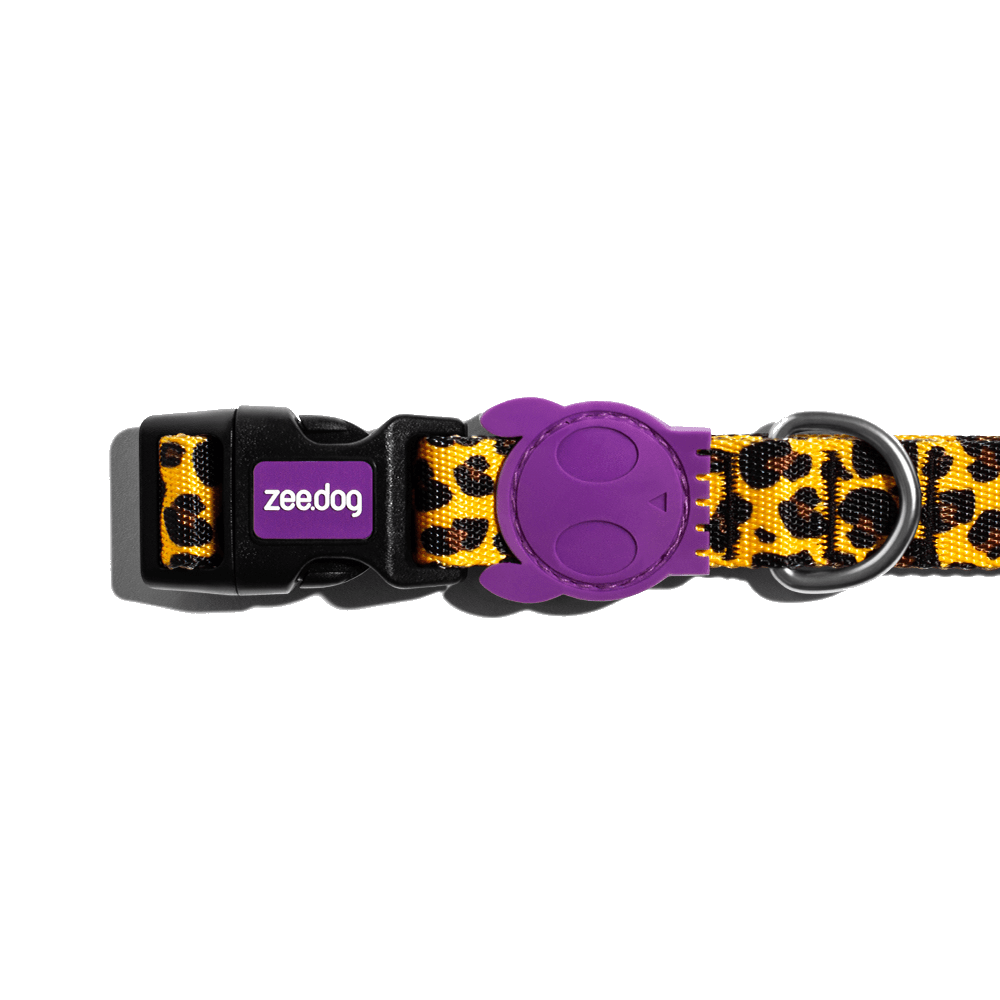 Honey | Collar - Image 3