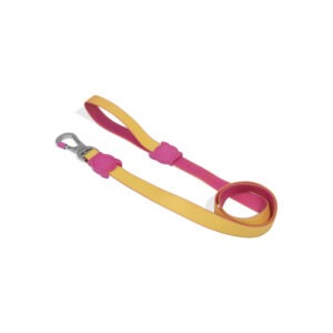 Neopro Lyra | Correa