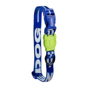 Astro | Collar - Large
