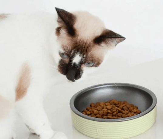 Platos para gatos | Duo Bowl Olive