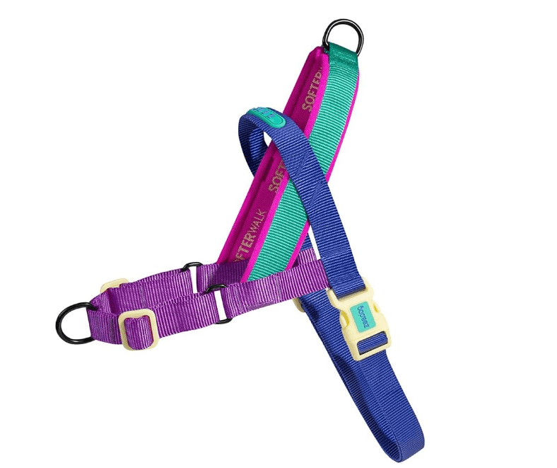 Shockwave | SofterWalk
