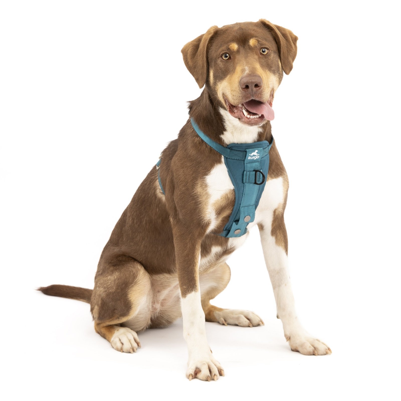 Tru-Fit Dog Car Harness| Ink - Image 2
