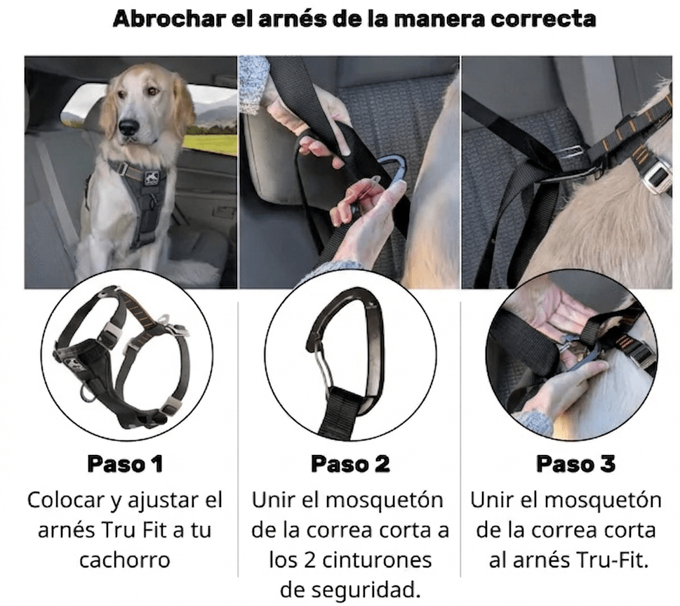 Tru-Fit Dog Car Harness | Black - Image 5