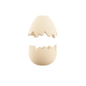 Egg