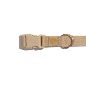Golden | Collar
