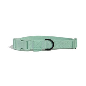 Mint | Collar - Small