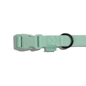 Mint | Collar