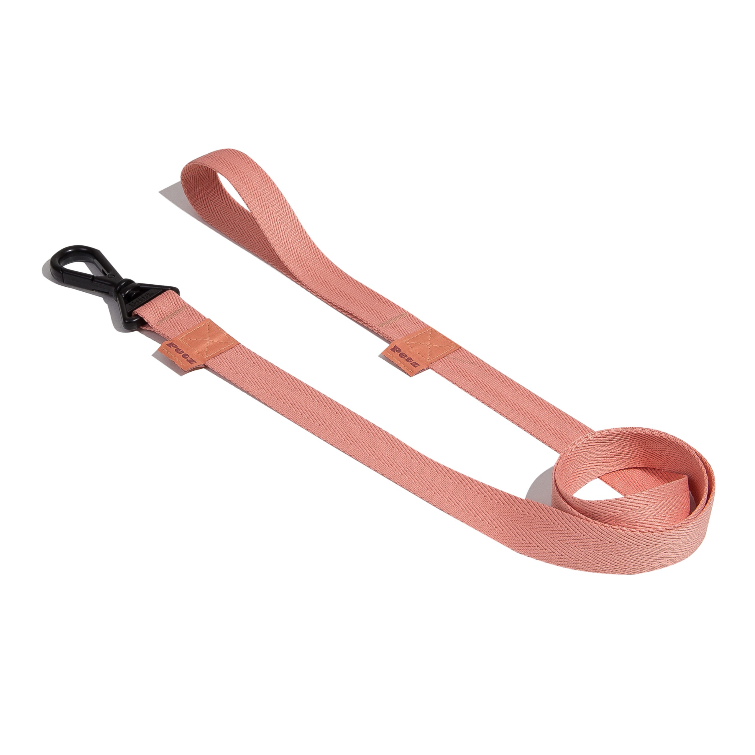 Salmón| Leash