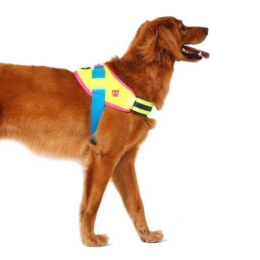 CMYK | Flyharness - Image 5