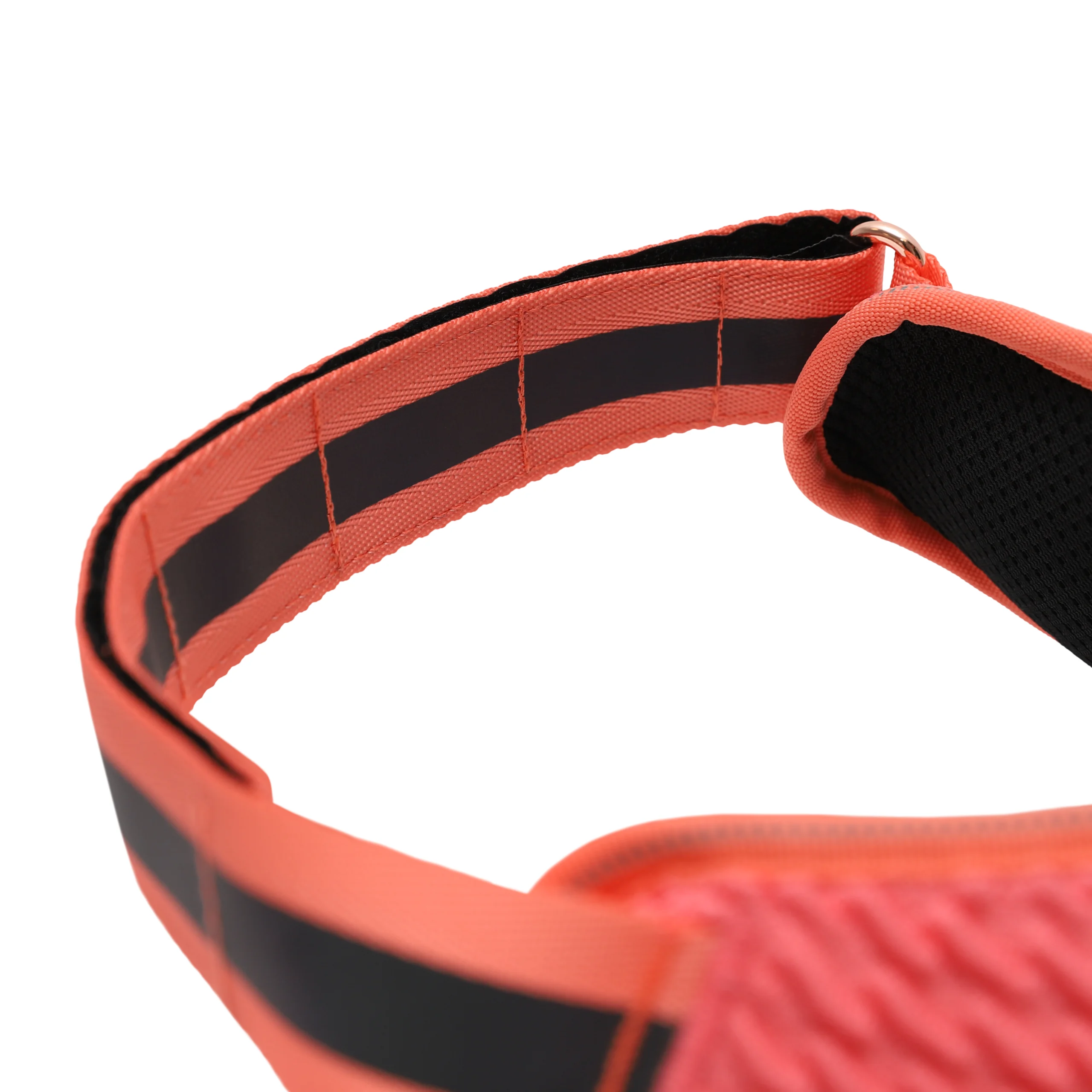 Gazelle | Flyharness - Image 3