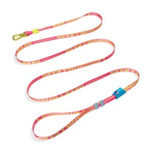 Long Leash Drago | Correa