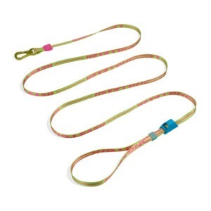 LONG LEASH CMYK | Correa