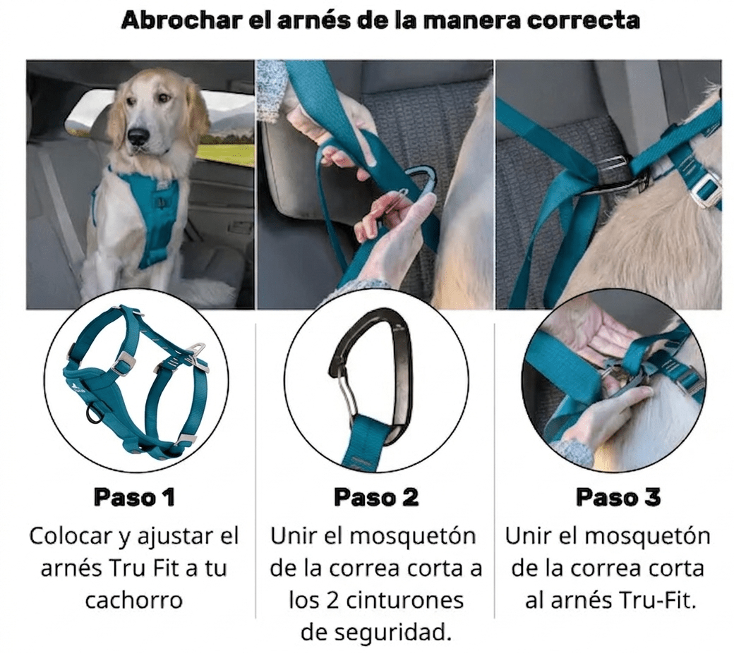 Tru-Fit Dog Car Harness| Ink - Image 4